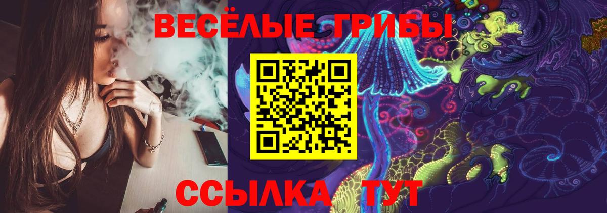Псилоцибиновые грибы GOLDEN TEACHER Саки