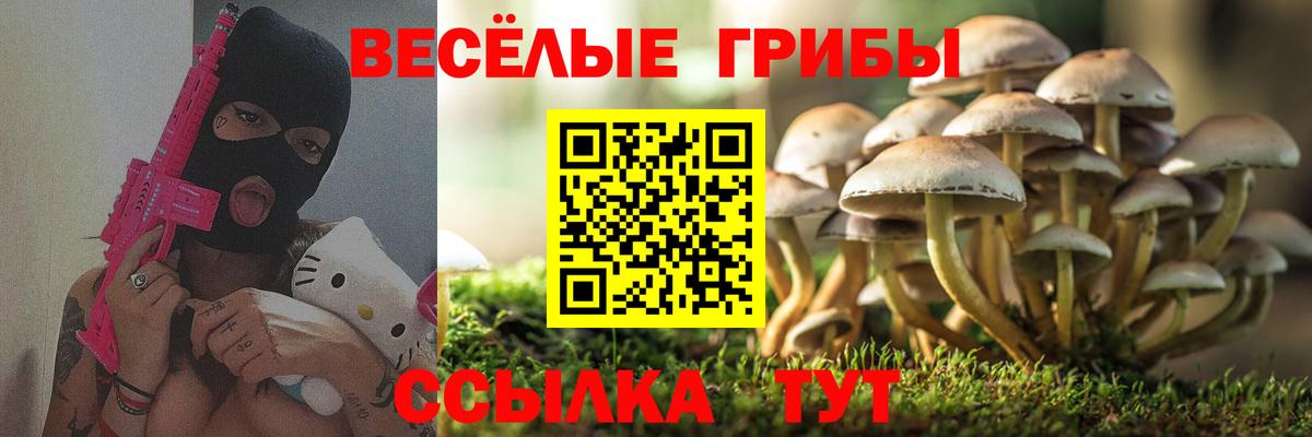 Саки  Галлюциногенные грибы мицелий  Вход с VPN 